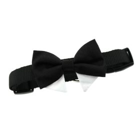 Universal Dog Bow Tie - Black with Starter Collar (size: 2X-Large)
