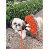 Halloween Dog Harness Dress - Fab-BOO-lous