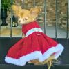 Holiday Dog Harness Dress - Red Velvet Sparkle