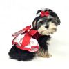 Holiday Dog Harness Dress - Candy Canes