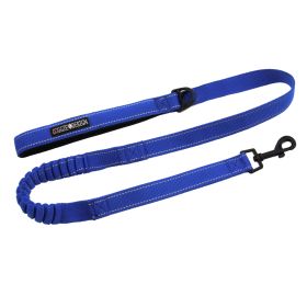 Soft Pull Traffic Dog Leash (Option: Cobalt Blue)