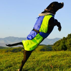 Alpine All-Weather Dog Coat - Blue and Green (size: medium)