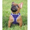American River Choke Free Harness Hawaiian Trim - Paisley Purple