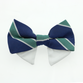 Universal Dog Bow Tie - Navy Blue and Green Stripe (size: Type 1)