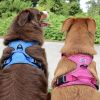 Venture Paw Pull Control Dog Harness - Wild Raspberry