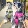 Venture Paw Pull Control Dog Harness - Wild Raspberry